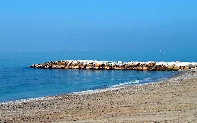 The beach